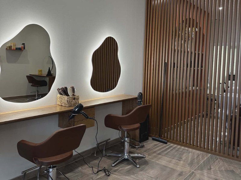 Tertiaire collectif-pizancon-drome-salon maison EF-acadie